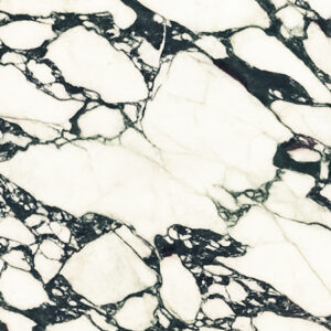 Marbled Relic