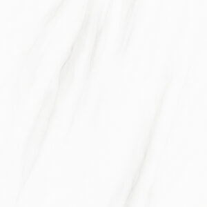 Shadow Flow
